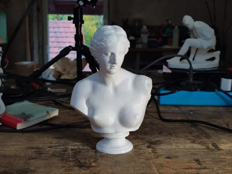 Venus 1
