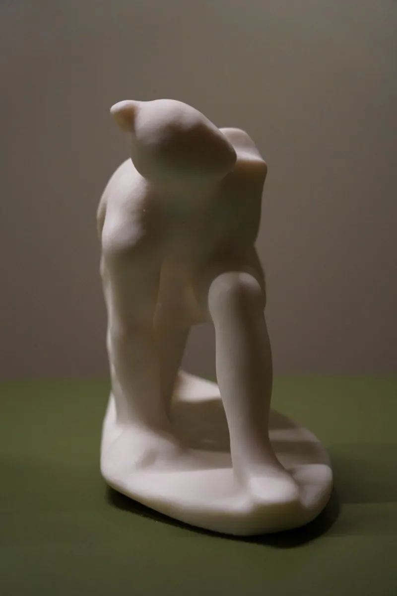 Érosion Numérique – Kneeling Persian, image 8